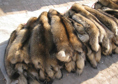 中国 100%の衣服のフードのための実質の自然なアライグマの毛皮の毛皮の取り外し可能で緑豊かな柔らかさ サプライヤー