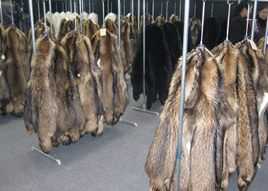 中国 黒のコートのアライグマを等級別にして下さい快適な毛皮つばがサテンのライニングと暖める サプライヤー