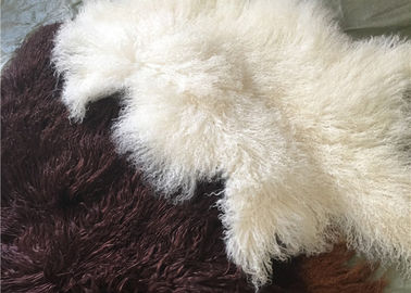 中国 長い巻き毛の羊皮の物質的で自然で白いチベットのlambswoolのモンゴルの毛皮は隠れます サプライヤー