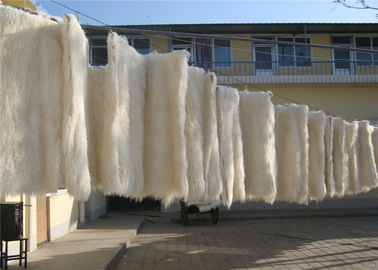 中国 チベットのlambswoolの敷物の長い毛の羊皮はモンゴルの子ヒツジの毛皮の版の敷物のカーペットを染めました サプライヤー