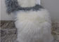 美しい家のモンゴルの毛皮の椅子のクッションのハンドメイドのチベットの羊皮のウールは置きます サプライヤー