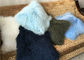 モンゴルの毛皮の枕多彩な染められた長い毛のチベットの皮の子ヒツジの毛皮のソファのクッション サプライヤー
