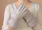 防水レディースウールライニングによって並べられる手袋、女性灰色の羊皮の手袋  サプライヤー