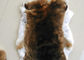 せん断されたウサギの毛皮のコートの使用法、柔らかい毛の衣服のための白いウサギの毛皮の毛皮 サプライヤー