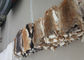 コートのライニングの付属品のレックスのウサギの皮の滑らかで自然なブラウン色25*35cm サプライヤー