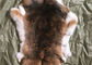 自然なチンチラのレックスのウサギの毛皮、柔らかい本物のせん断されたウサギの毛皮のジャケットの皮 サプライヤー