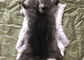 薄い灰色のレックスのウサギの毛皮の首のウォーマーは、レックスの実質のウサギ版毛布のための皮を投げつけます サプライヤー