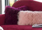 モンゴルの子ヒツジの毛皮の枕、腰神経のモンゴルのチベットの羊皮の枕 サプライヤー