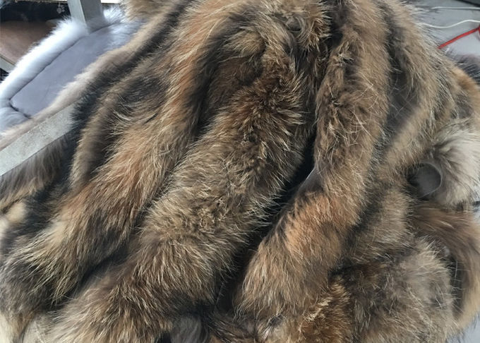 ブラウンの女性の冬のコートのために暖かい実質のアライグマの毛皮つばのトリムの反収縮