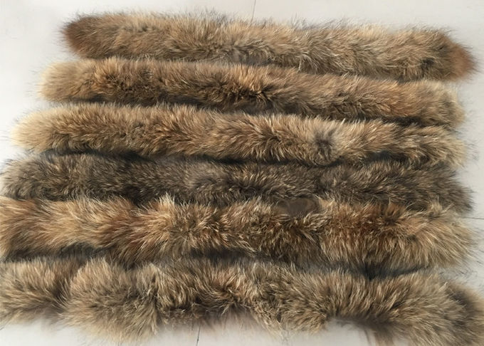 自然な色のアライグマの毛皮つばの未加工皮衣服/家の織物のための等級70 - 105cm