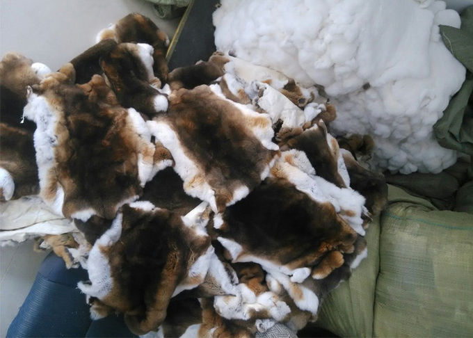 家の織物の防風実質のレックスのウサギの皮は冬のコートのライニングのために暖まります