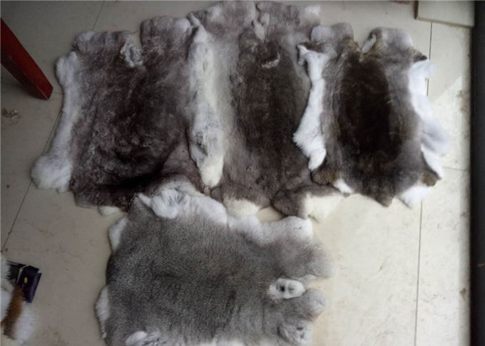 冬のための全レックスのウサギの皮の実質の柔らかく柔らかく重い密度を並べるコート
