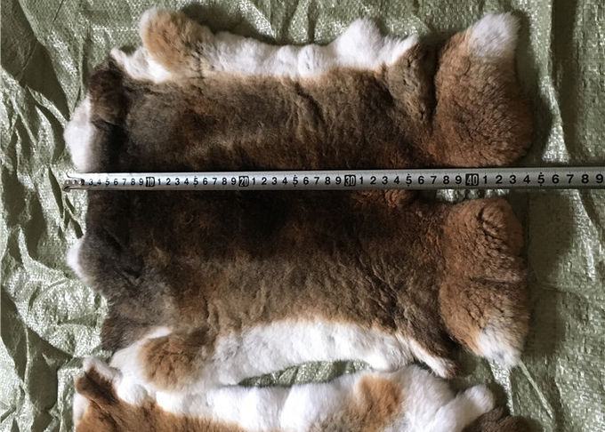 衣類/ウサギの敷物を作るための暖かい極度の柔らかいレックスのウサギの毛皮Winderproof