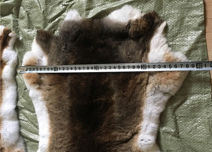 衣類/ウサギの敷物を作るための暖かい極度の柔らかいレックスのウサギの毛皮Winderproof