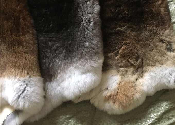 Eco友好的な日焼けさせたレックスのウサギの皮家の織物/枕のための1.5-3 Cmの毛皮の長さ