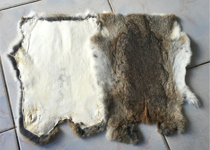 SGS 2-2.8cmの毛の長さの冬の設計の実質の日焼けさせたレックスのウサギの皮