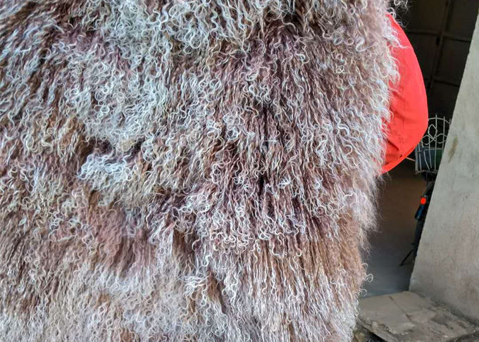 モンゴルの羊皮の皮100%の長い毛のチベットの子ヒツジの毛皮の巻き毛のウールの版カバー