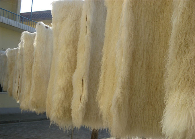 長い毛の巻き毛のモンゴルのヒツジの毛皮のクッションのチベットのLambswoolの毛皮の投球枕