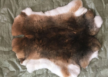 中国 30*40cm レックスのウサギの毛皮は暖かい柔らかさ、自然な/染められた色のチンチラのレックスの毛皮の皮を剥ぎます サプライヤー