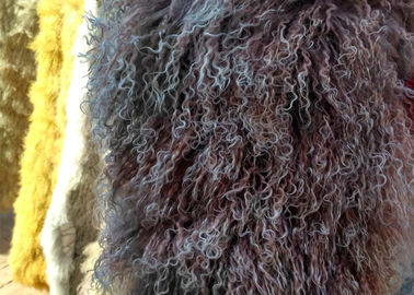 中国 実質の長い毛の羊皮の本物のモンゴルのlambswoolの巻き毛のヒツジの毛皮毛布 サプライヤー