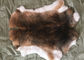 30*40cm レックスのウサギの毛皮は暖かい柔らかさ、自然な/染められた色のチンチラのレックスの毛皮の皮を剥ぎます サプライヤー
