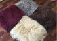 毛皮のベッド毛布のモンゴルに羊皮の敷物60x120cmベージュ色色の耐火性にすること サプライヤー