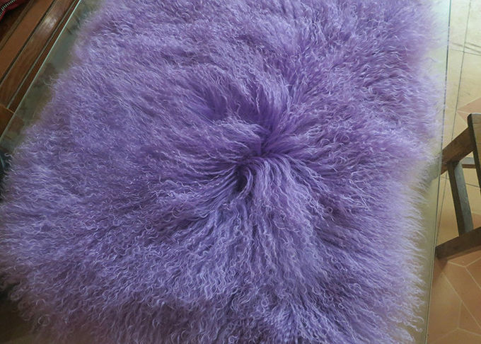 長いウールは空気状態部屋のためのモンゴルの子ヒツジの毛皮の投球枕20x20インチを飾ります
