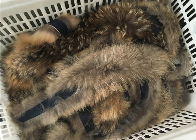 コートのブラウン自然な色の本物の大きいアライグマの毛皮つばの暖かい柔らかさ