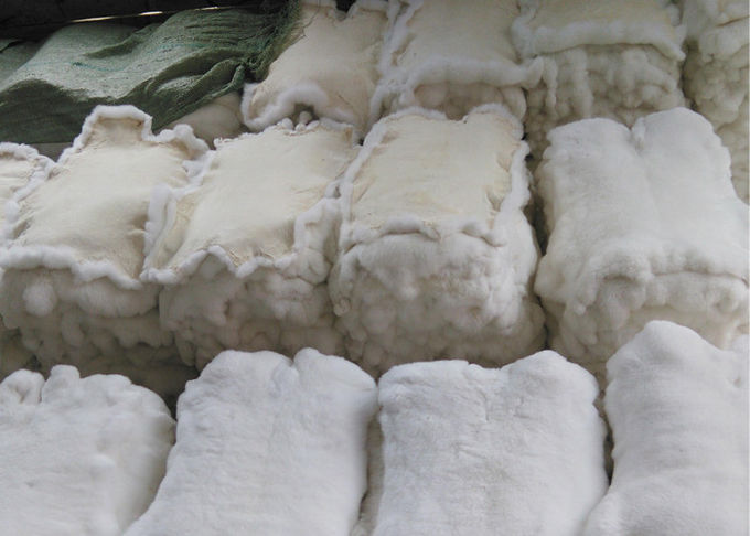 30*40cm レックスのウサギの毛皮は暖かい柔らかさ、自然な/染められた色のチンチラのレックスの毛皮の皮を剥ぎます
